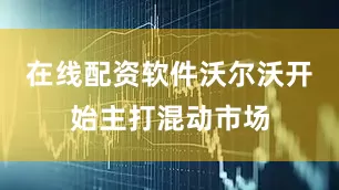 在线配资软件沃尔沃开始主打混动市场