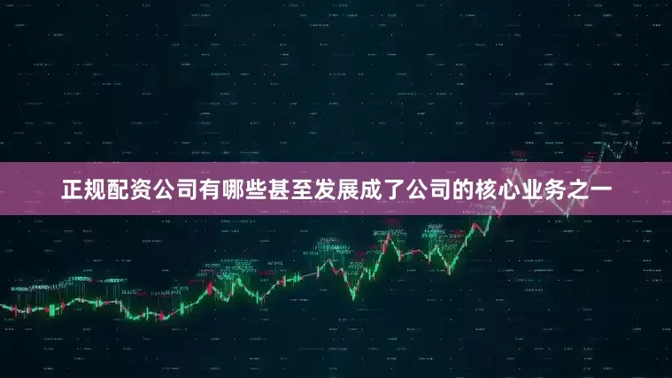 正规配资公司有哪些甚至发展成了公司的核心业务之一