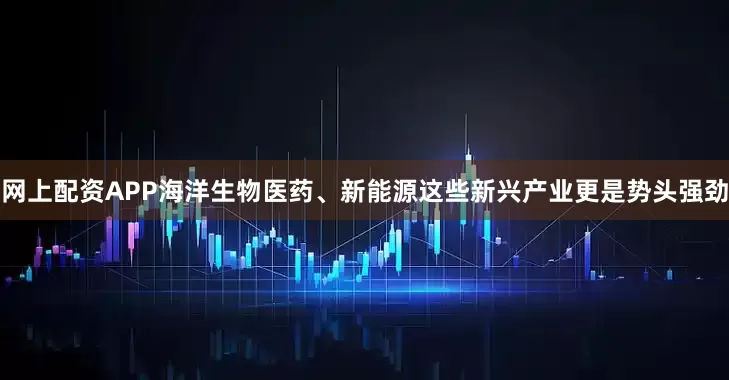 网上配资APP海洋生物医药、新能源这些新兴产业更是势头强劲
