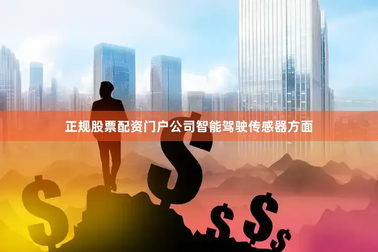 正规股票配资门户公司智能驾驶传感器方面